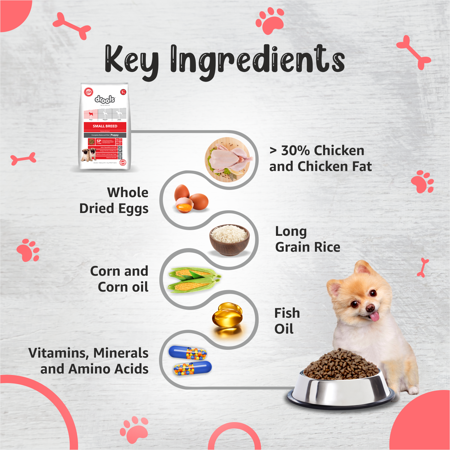 Drools Small Breed Puppy, Premium Dog Food