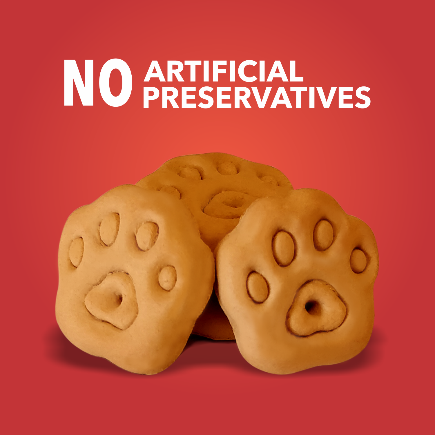 Drools Chicken and Egg Biscuit