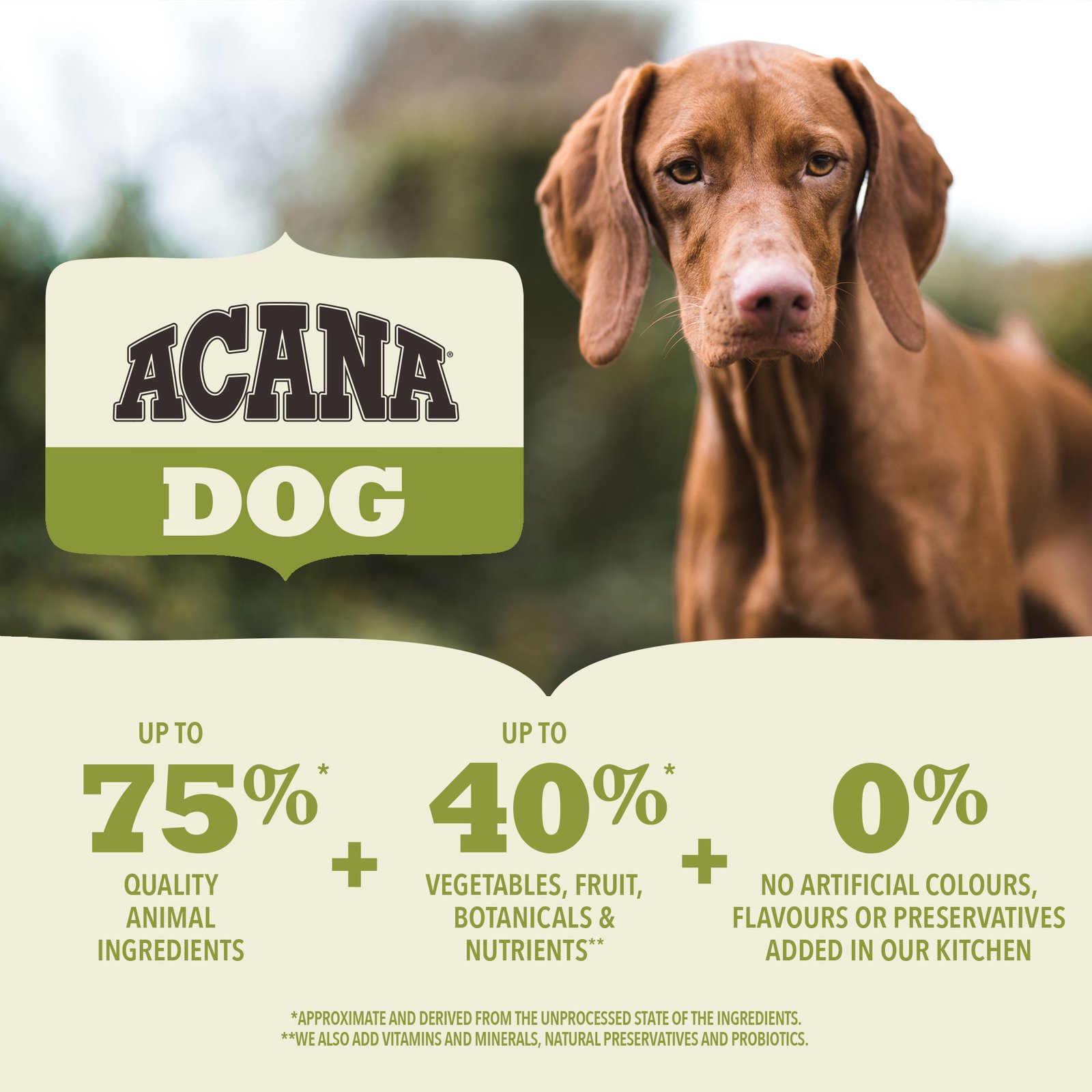 Acana Adult Large Breed Dry Dog Food