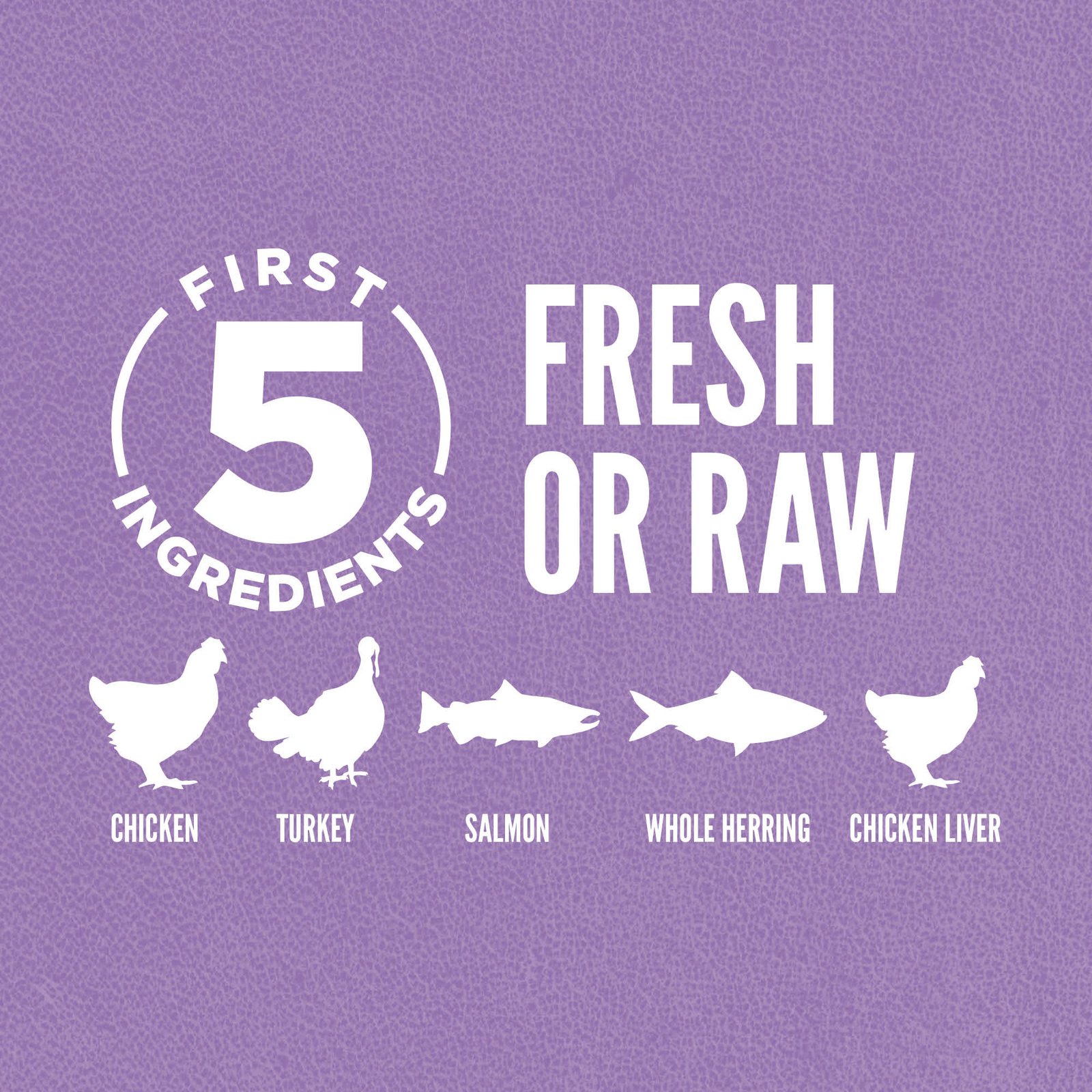 Orijen Kitten Cat Food