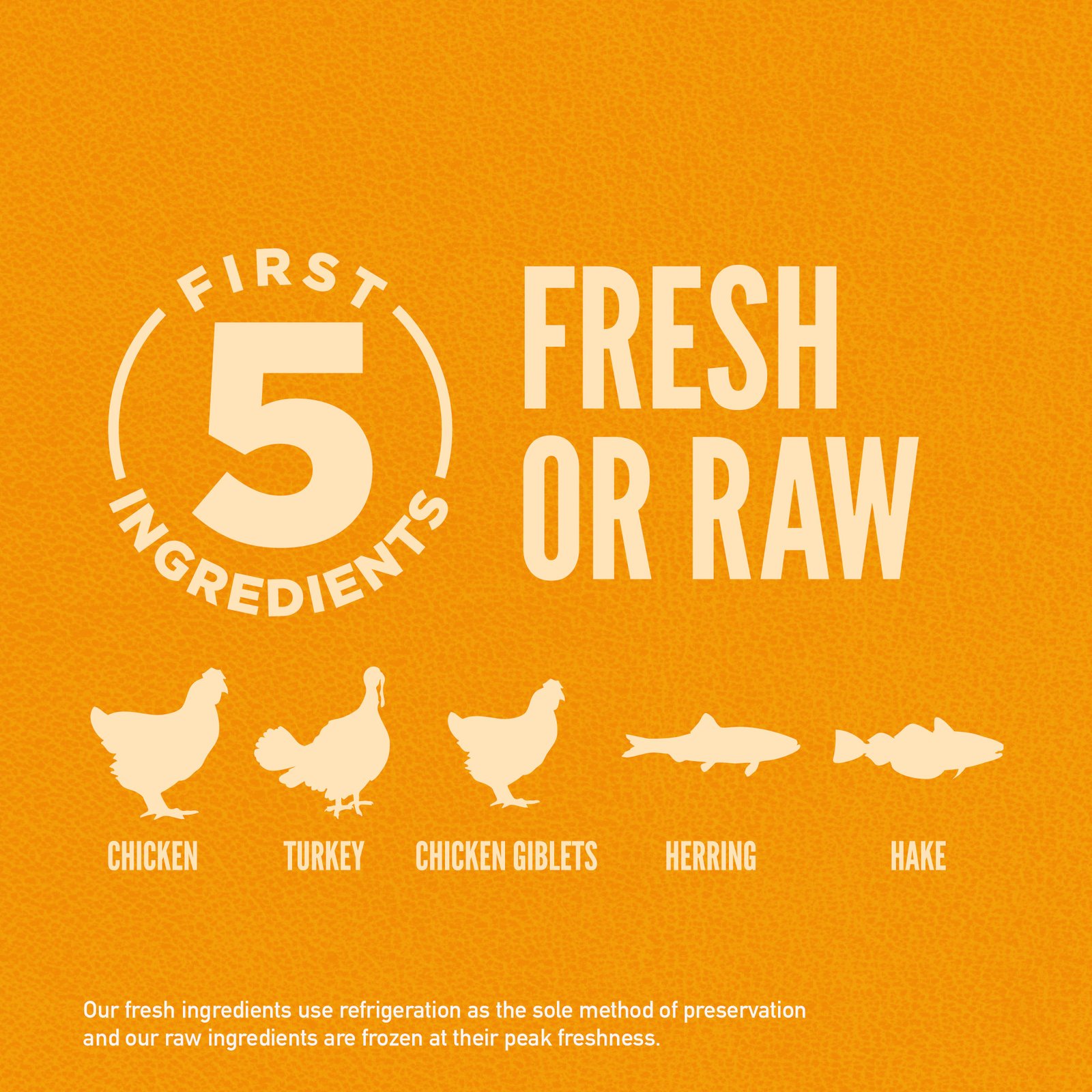 Orijen Puppy Dry Dog Food