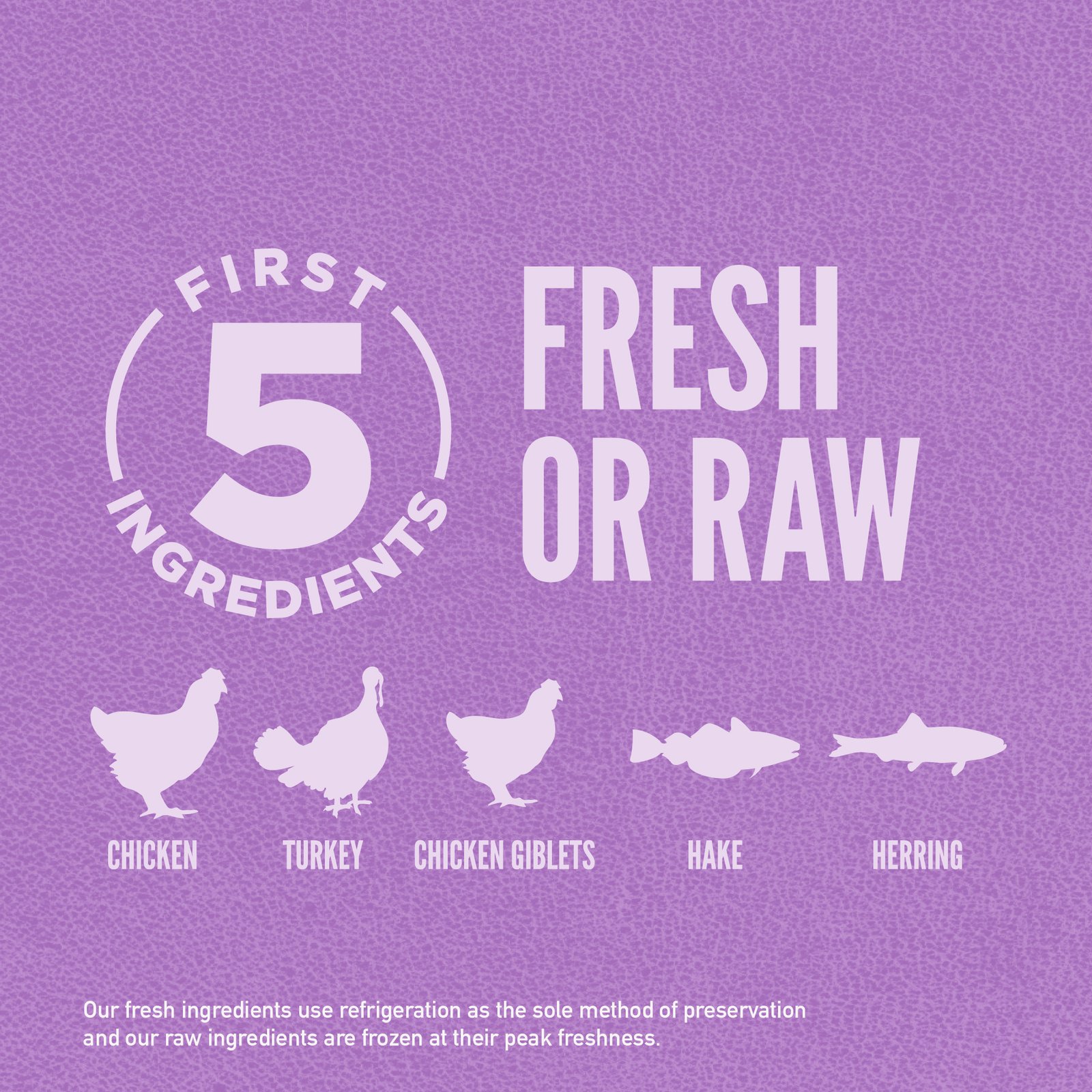 Orijen Puppy Large Dry Dog Food