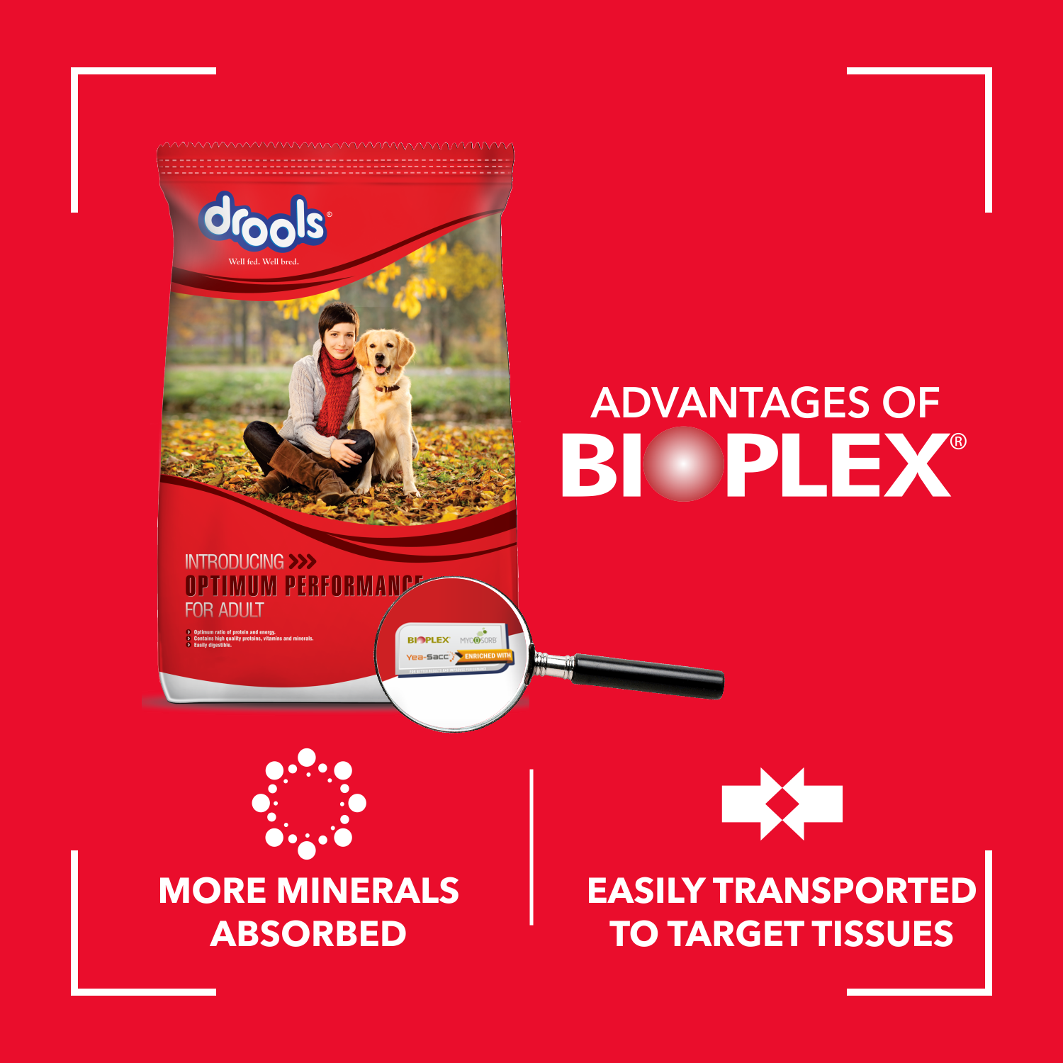 Drools Adult Optimum Performance Dog Food