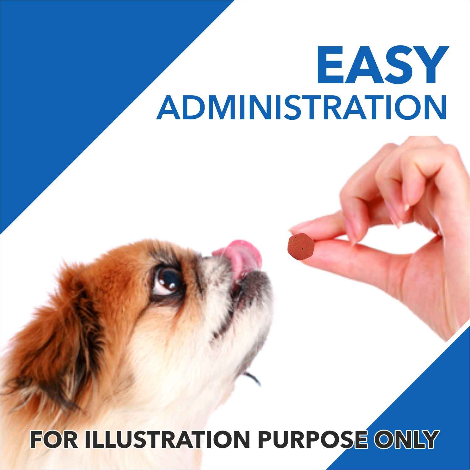 Drools Absolute Vitamin Tablet- Dog Supplement