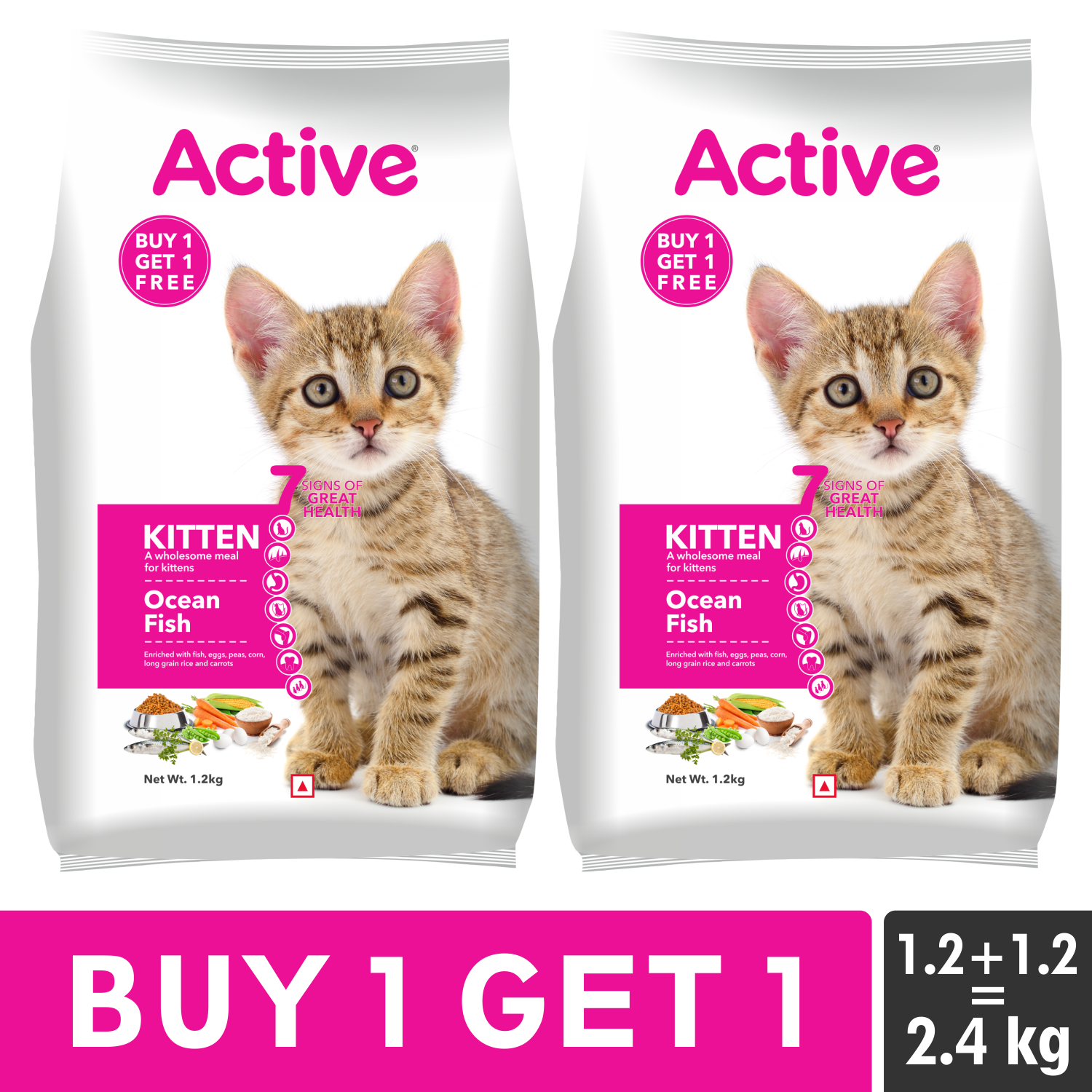 Active Ocean Fish Dry Kitten Cat Food